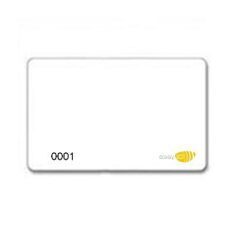 Kreditkarte ISO, EM4102/4200, bedruckt